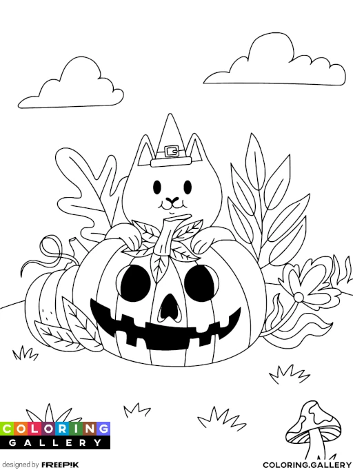 The Сat is Hiding Behind a Pumpkin