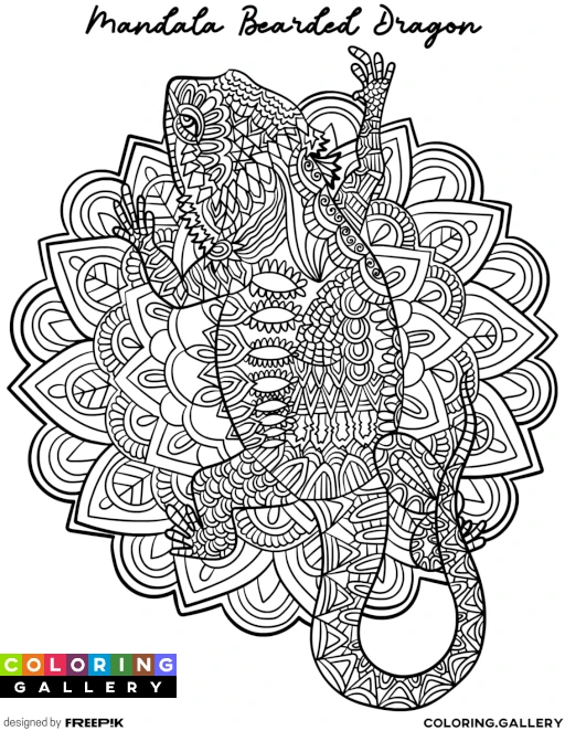 Mandala Bearded Dragon