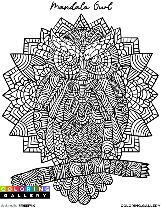 Mandala Owl