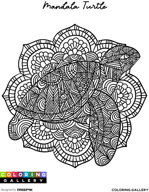 Mandala Turtle